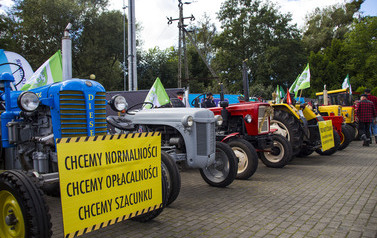 Dożynki Gminy Pruszcz Gdański  95