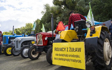 Dożynki Gminy Pruszcz Gdański  282