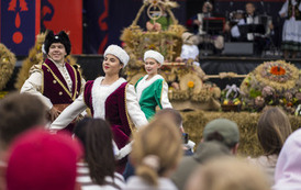 Dożynki Gminy Pruszcz Gdański  219