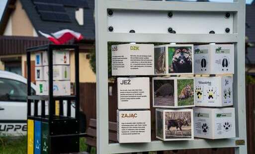 Element ścieżki edukacyjnej